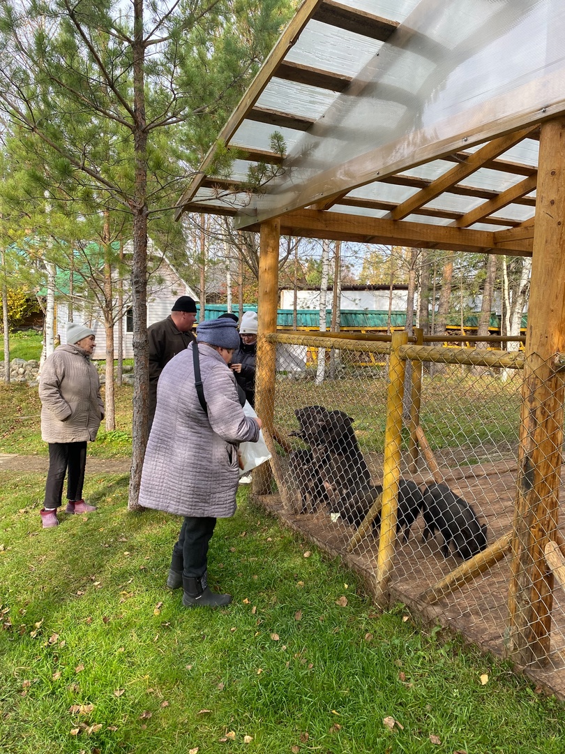 Мир животных