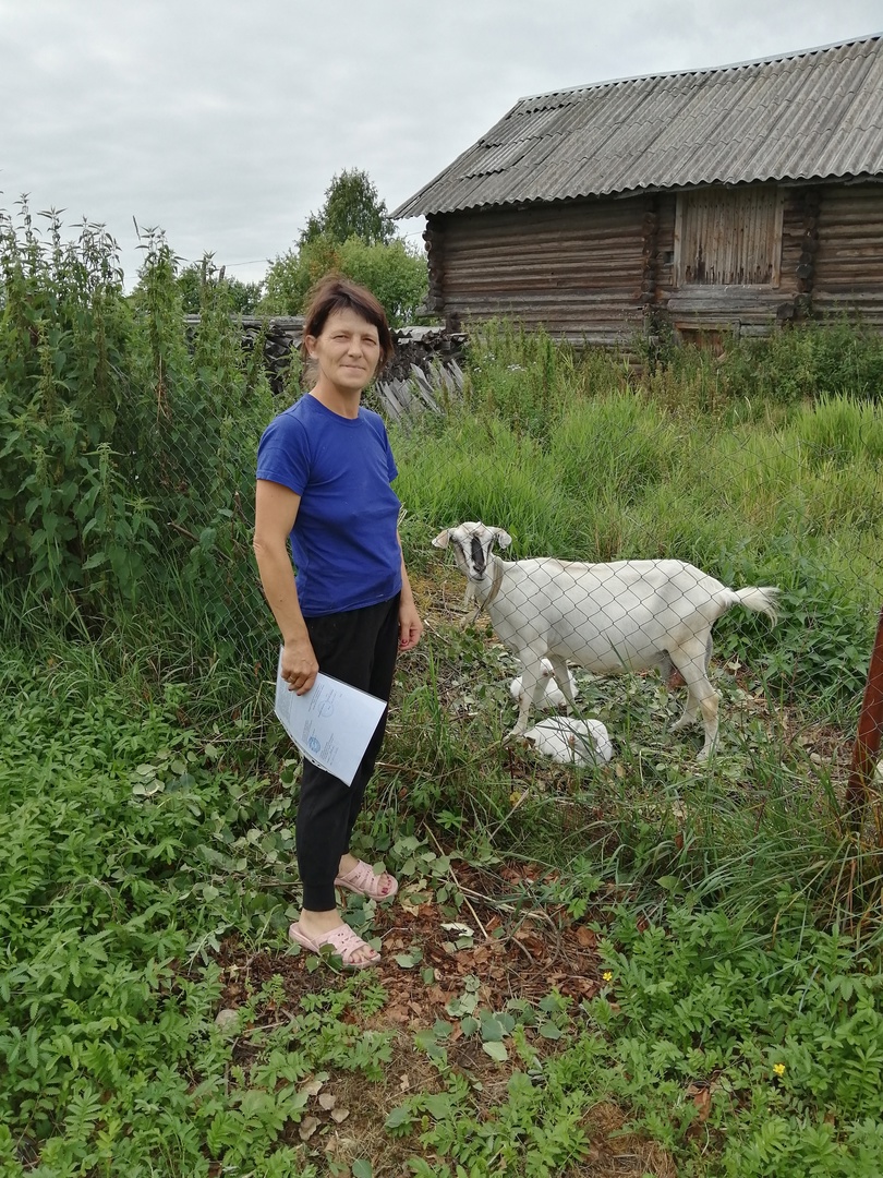 Социальный контракт в помощь семье