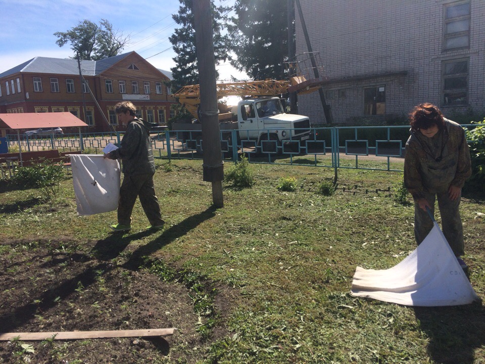 #Обработка_территории