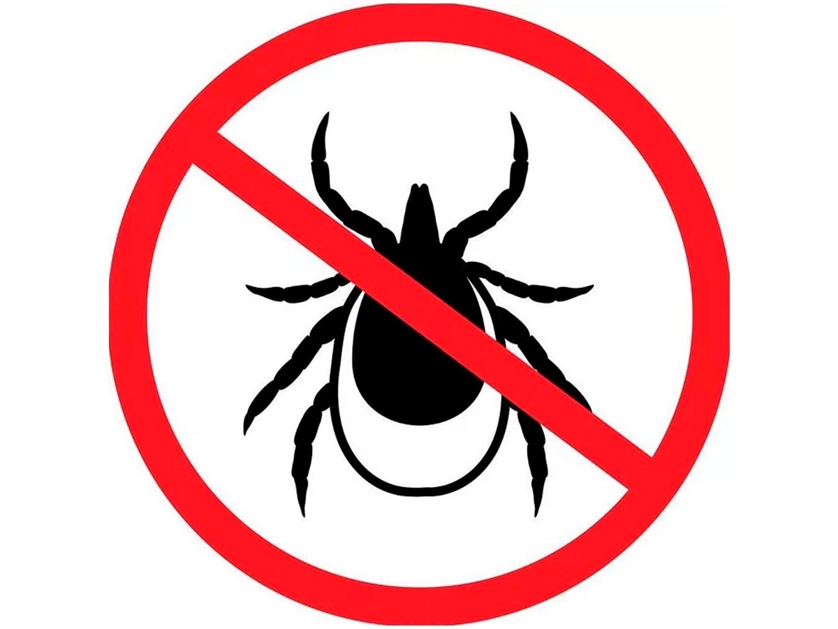 Внимание! Акарицидная обработка!