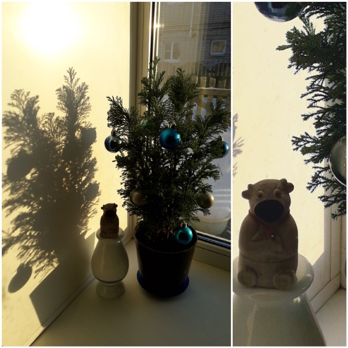 Новый год — это самый замечательный праздник, которого с нетерпением ждут