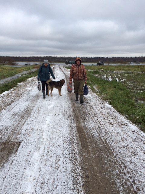 День социального обслуживания