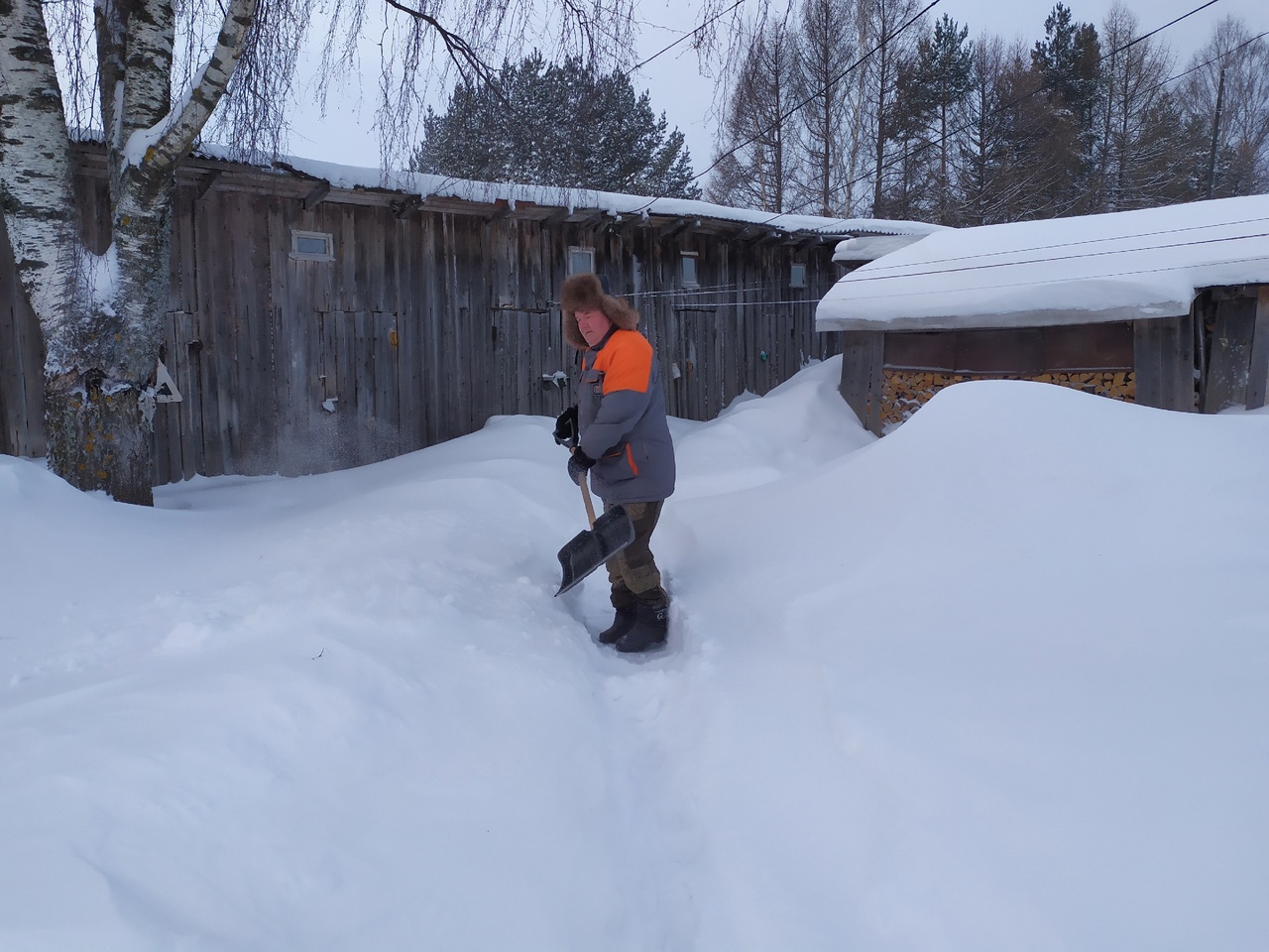  «Серебряные» волонтеры приходят на помощь