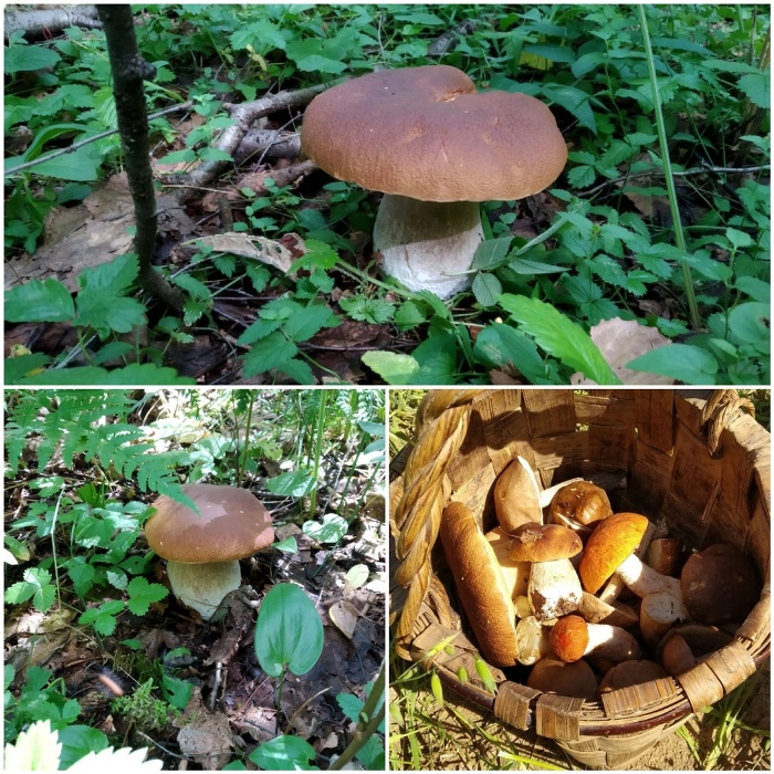 «Мои лучшие моменты» В группе «Мир добра» прошло онлайн-занятие «Мои лучшие моменты». Участники поделились своими радостными событиями, которые приносили в их жизнь яркие впечатления и приятные воспоминания