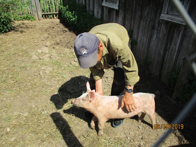 День социального обслуживания