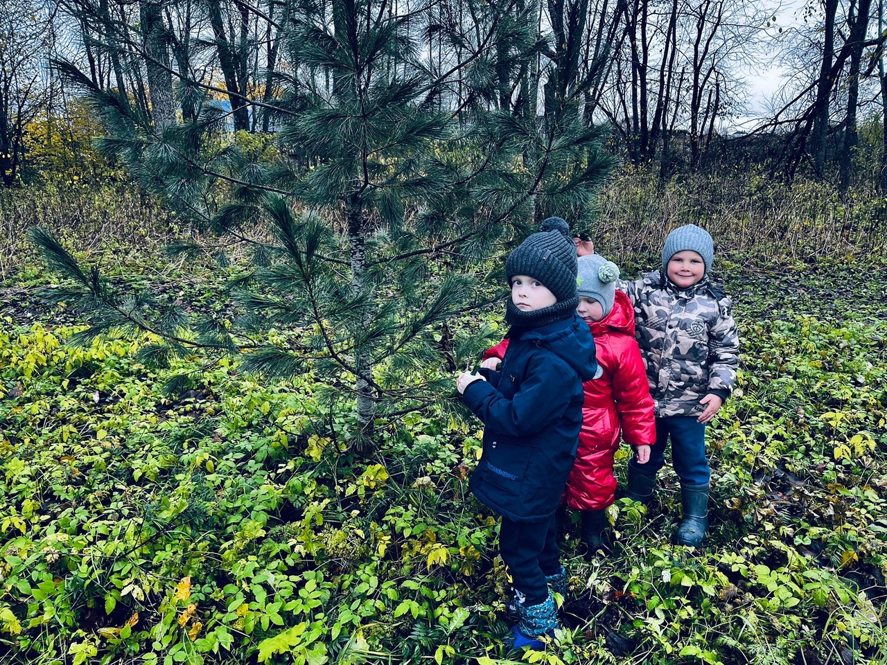 Осенняя прогулка в парк