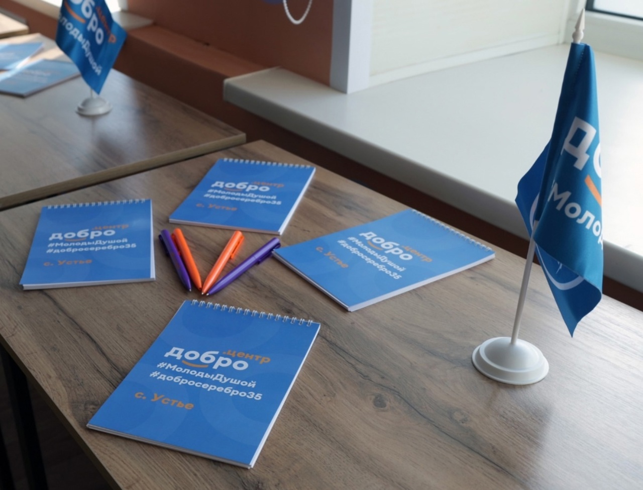 Грант на развитие добровольчества