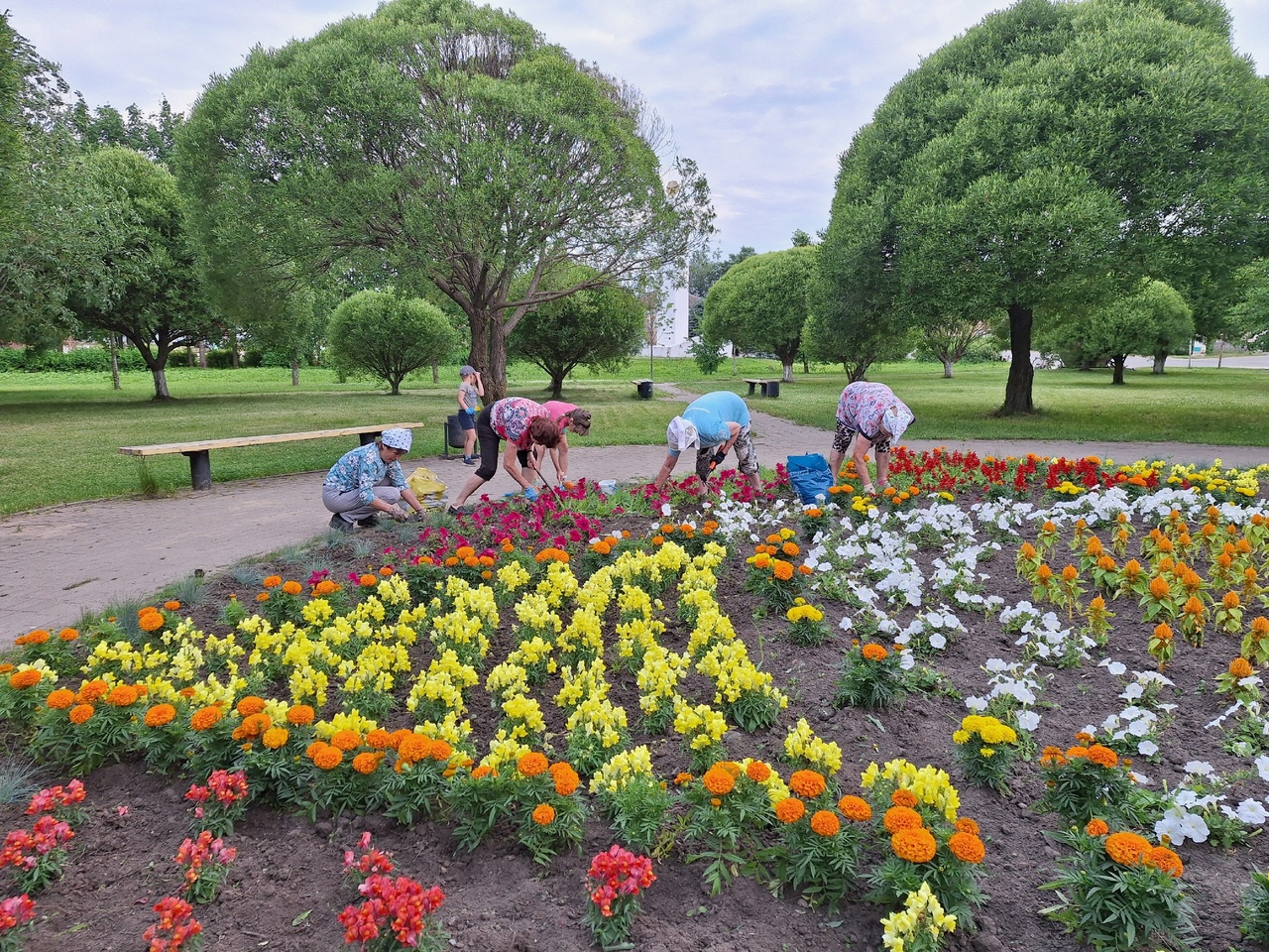 Трудовой десант у «серебряных» волонтеров продолжается!