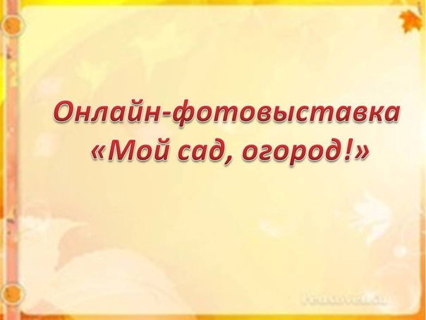Онлайн-фотовыставка «Мой сад, огород!»